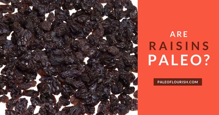 Are Raisins Paleo? https://paleoflourish.com/are-raisins-paleo/