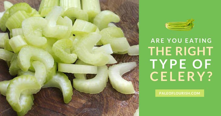 Are You Eating the Right Type of Celery? - Heart, Root, or Seeds? https://paleoflourish.com/are-you-eating-the-right-type-of-celery-heart-root-or-seeds/