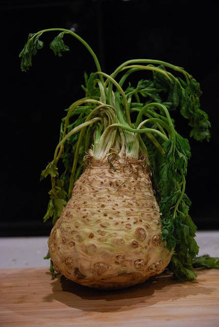 paleo celery root