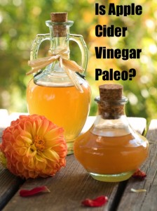 is apple cider vinegar paleo?