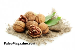 paleo walnuts