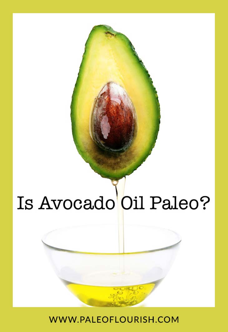 Is Avocado Oil Paleo? https://paleoflourish.com/is-avocado-oil-paleo