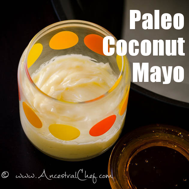 Paleo Coconut Mayo Recipe