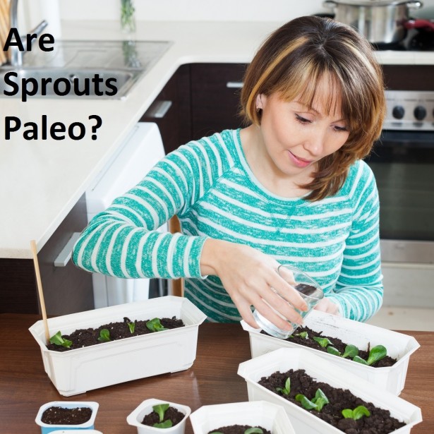 Are Sprouts Paleo?