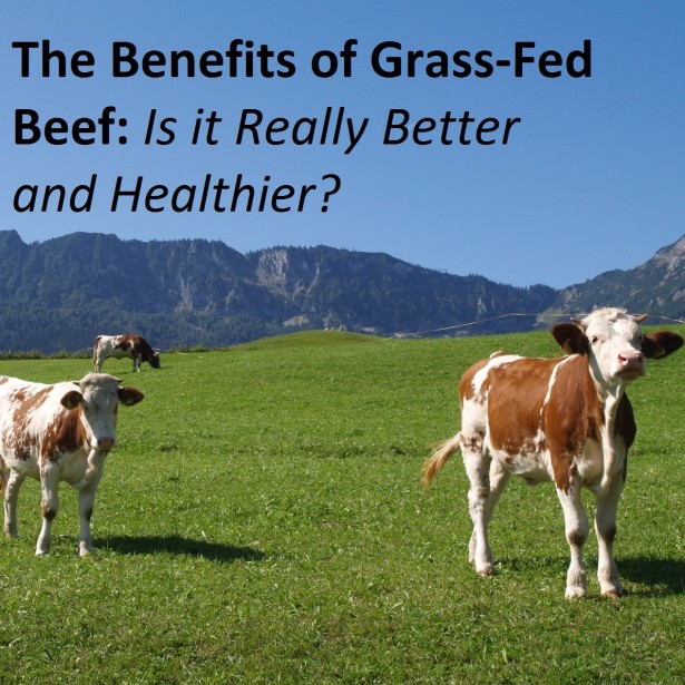 The Benefits of Grass-Fed Beef: Is it Really Better and Healthier?