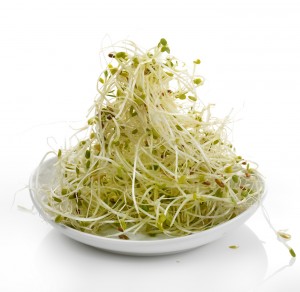 Are Bean Sprouts Paleo?