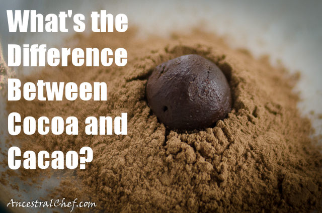 what is the difference between cocoa and cacao?