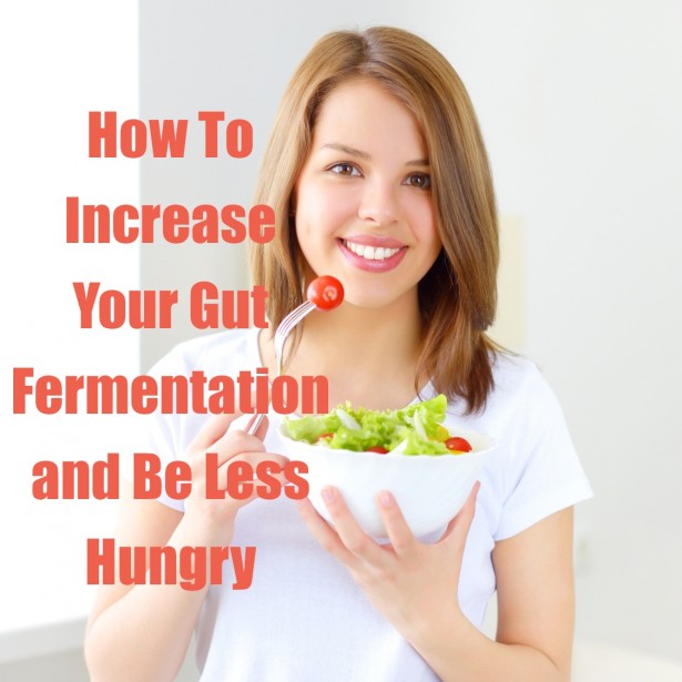 How to Increase Your Gut Fermentation and Be Less Hungry