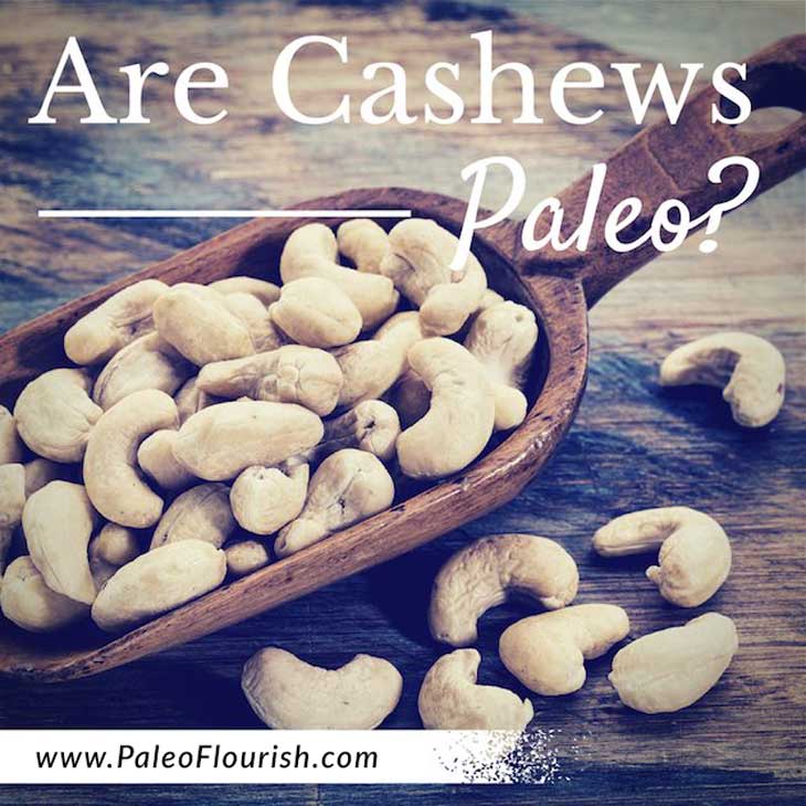 Are Cashews Paleo? https://paleoflourish.com/are-cashews-paleo