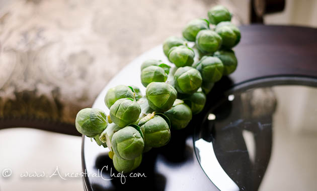 paleo brussels sprouts recipe