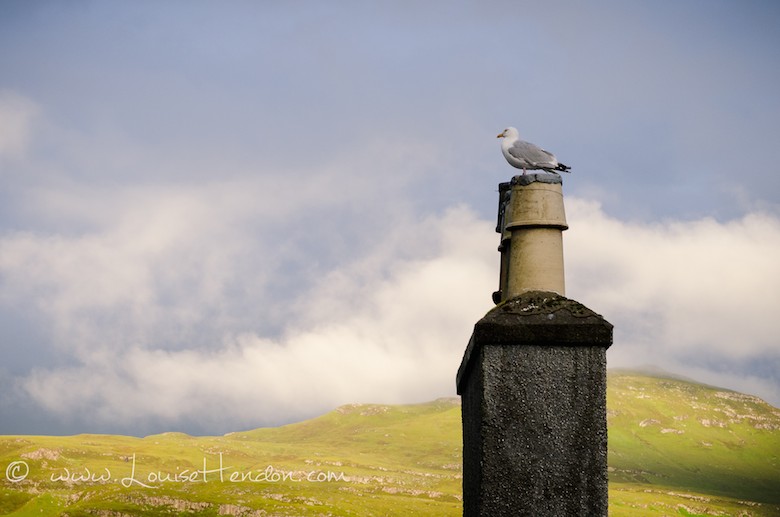 photos of portree isle of skye scotland