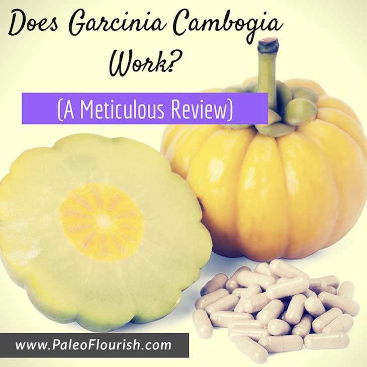 Does Garcinia Cambogia Work? (A Meticulous Review) https://paleoflourish.com/does-garcinia-cambogia-work-review