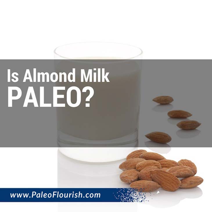 Is Almond Milk Paleo? https://paleoflourish.com/is-almond-milk-paleo