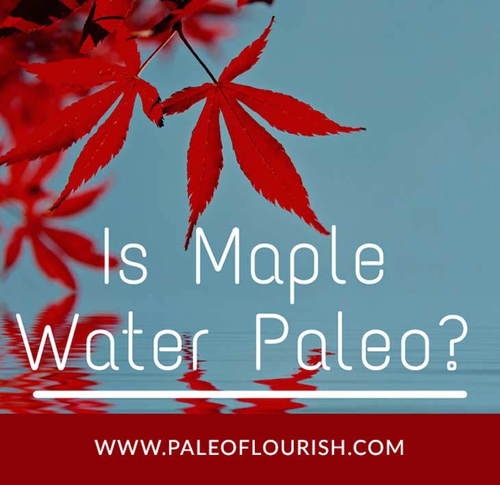 Is Maple Water Paleo? https://paleoflourish.com/is-maple-water-paleo