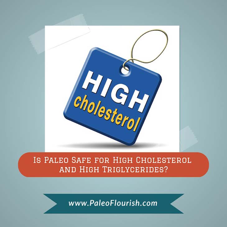 Is Paleo Safe for High Cholesterol and High Triglycerides? https://paleoflourish.com/paleo-diet-high-cholesterol-triglycerides