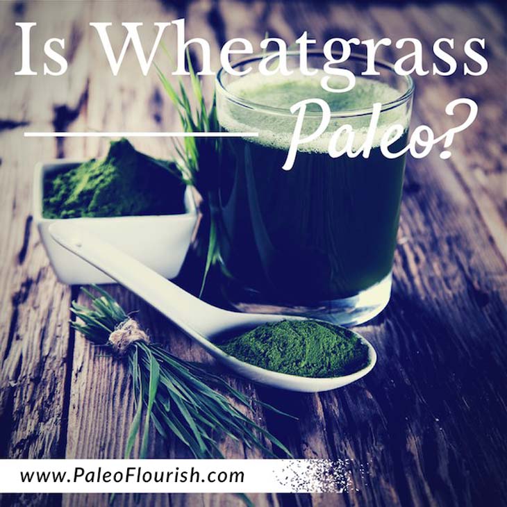 Is Wheatgrass Paleo? https://paleoflourish.com/is-wheatgrass-paleo