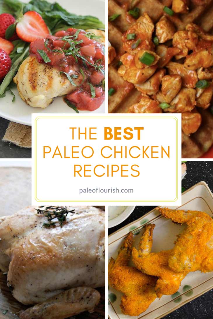 Paleo Chicken Recipes - Ultimate Paleo Chicken Recipes https://paleoflourish.com/the-ultimate-paleo-chicken-recipes-list