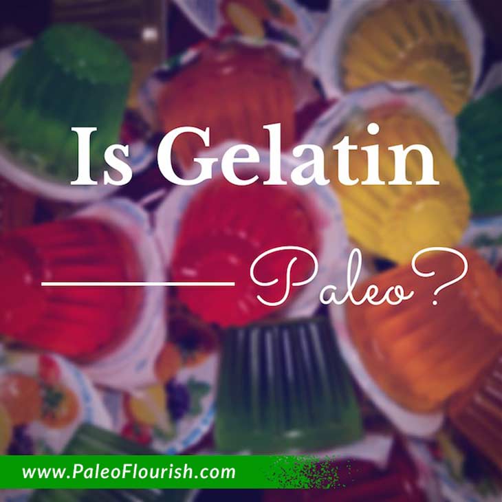 Is Gelatin Paleo? https://paleoflourish.com/is-gelatin-paleo
