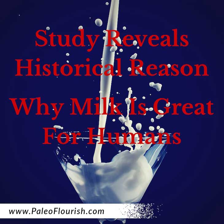 Is Milk Healthy? - Study Reveals Historical Reason Why Milk Is Healthy For Humans https://paleoflourish.com/study-is-milk-healthy-for-humans