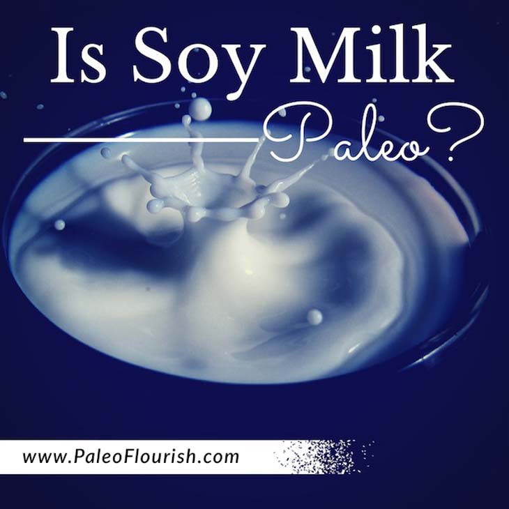 Is Soy Milk Paleo? https://paleoflourish.com/is-soy-milk-paleo