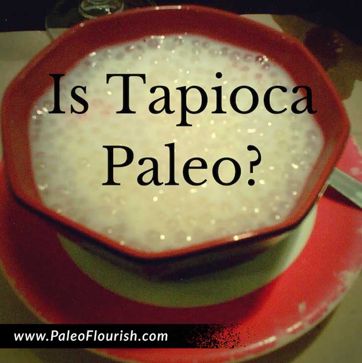 Is Tapioca Paleo? https://paleoflourish.com/is-tapioca-paleo