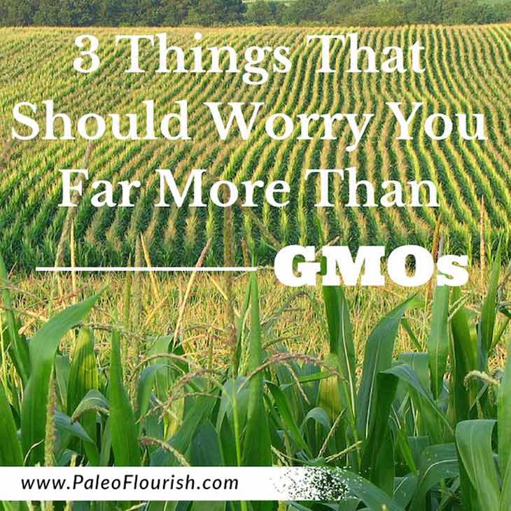 Worse Than GMOs - 3 Things That Should Worry You Far More Than GMOs https://paleoflourish.com/3-things-more-troubling-than-gmos