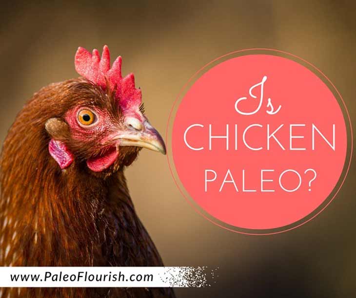 Is Chicken Paleo? https://paleoflourish.com/is-chicken-paleo