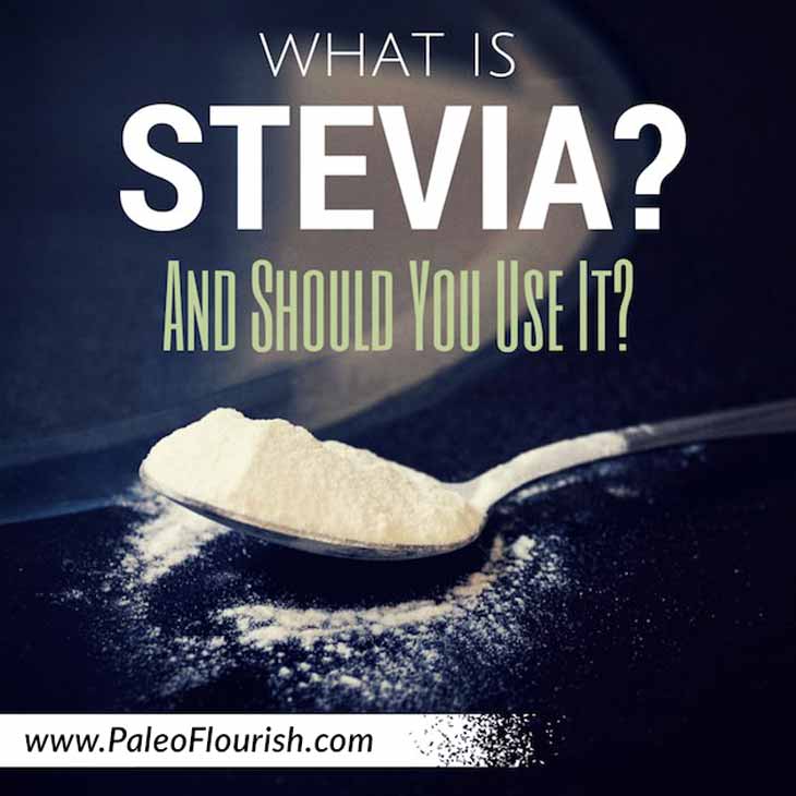 What Is Stevia And Should https://paleoflourish.com/what-is-stevia-and-should-you-eat-itYou Eat It?