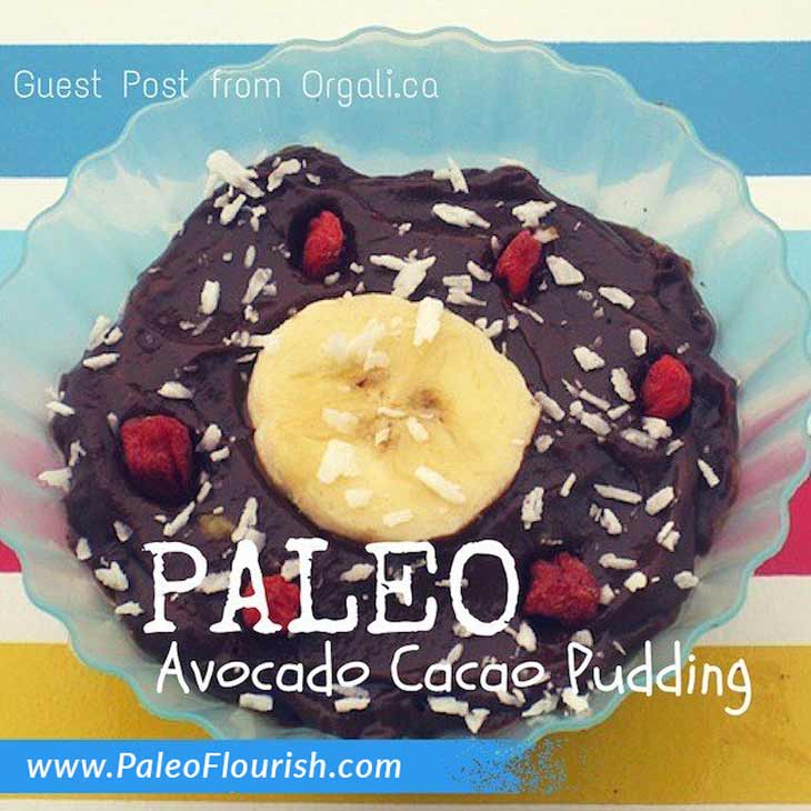 Paleo Avocado Cacao Pudding Guest Post https://paleoflourish.com/paleo-cacao-avocado-pudding-guest-post