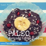 Paleo Avocado Cacao Pudding Guest Post