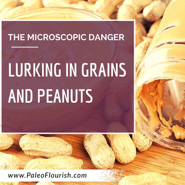 The Microscopic Danger Lurking in Grains and Peanuts https://paleoflourish.com/mycotoxins-grains-peanuts
