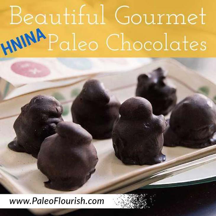 Beautiful Gourmet HNINA Paleo Chocolates https://paleoflourish.com/beautiful-gourmet-paleo-chocolates