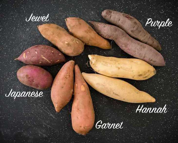 types of sweet potatoes and yams