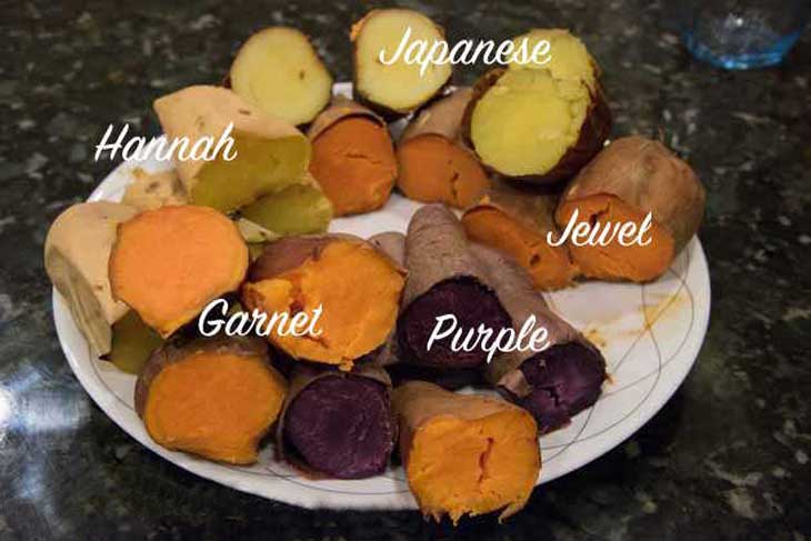 types of sweet potatoes and yams cooked