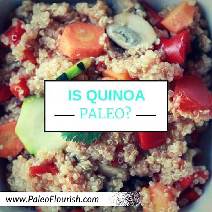 Is Quinoa Paleo? https://paleoflourish.com/is-quinoa-paleo