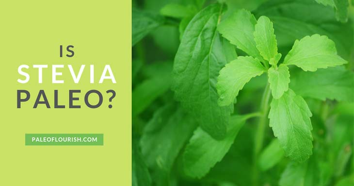 Is Stevia Paleo? 5 Reasons Why Stevia Isn't Paleo https://paleoflourish.com/is-stevia-paleo