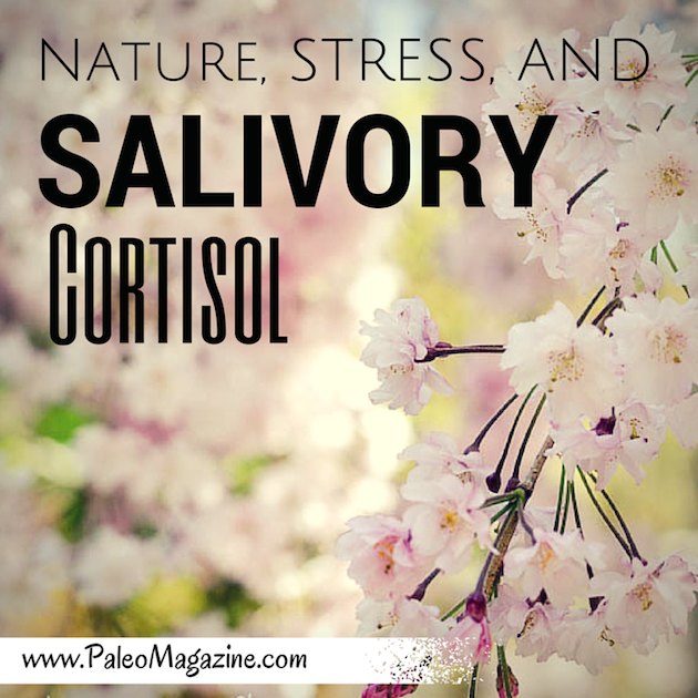 Nature, Stress, and Salivary Cortisol