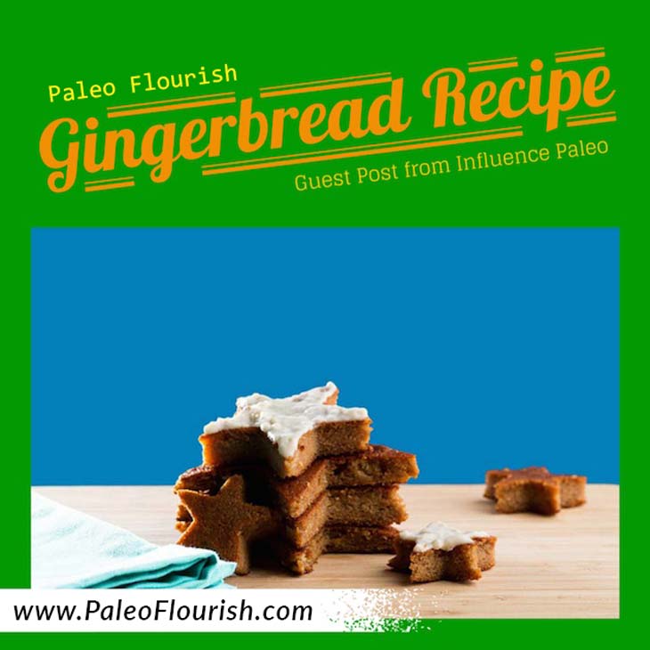 Paleo Gingerbread Recipe + More French Christmas Recipes https://paleoflourish.com/paleo-gingerbread-recipe