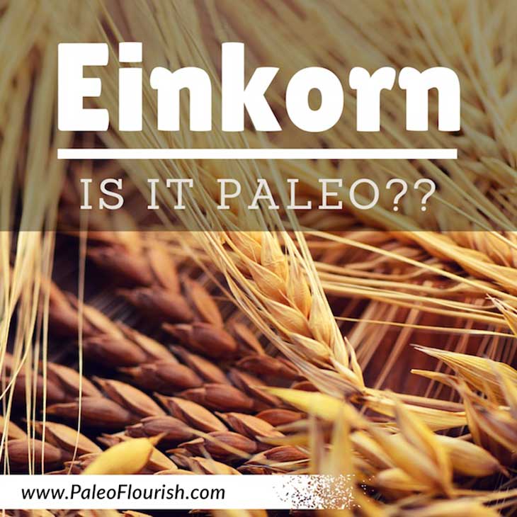 Is Einkorn Paleo? https://paleoflourish.com/is-einkorn-paleo