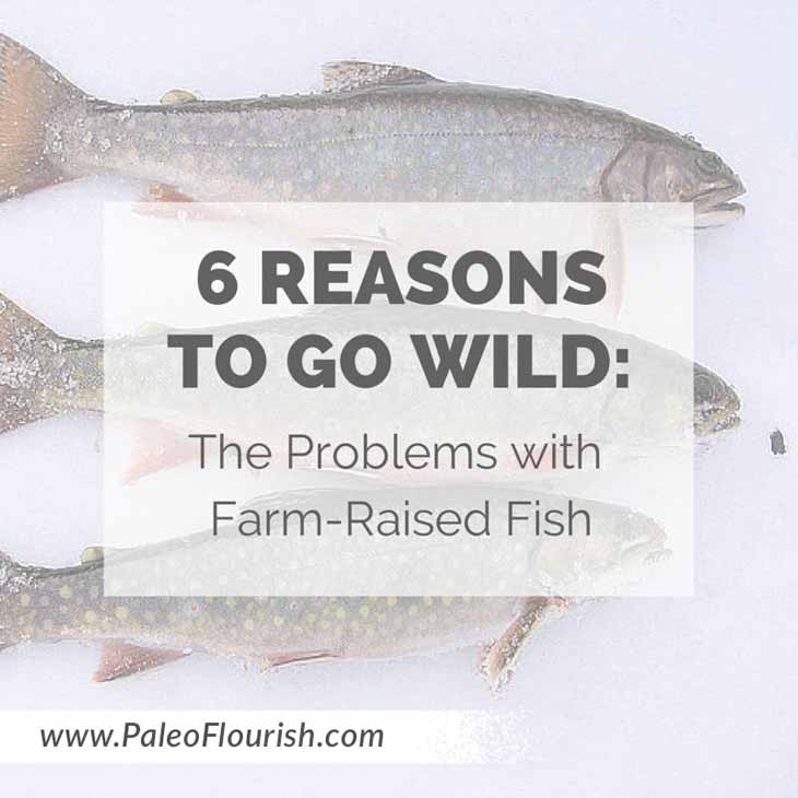 6 Reasons to Go Wild: The Problems with Farm-Raised Fish https://paleoflourish.com/why-farm-raised-fish-is-unhealthy