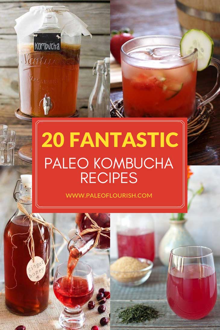 Paleo Kombucha Recipes - 20 Fantastic Paleo Kombucha Recipes https://paleoflourish.com/20-fantastic-paleo-kombucha-recipes