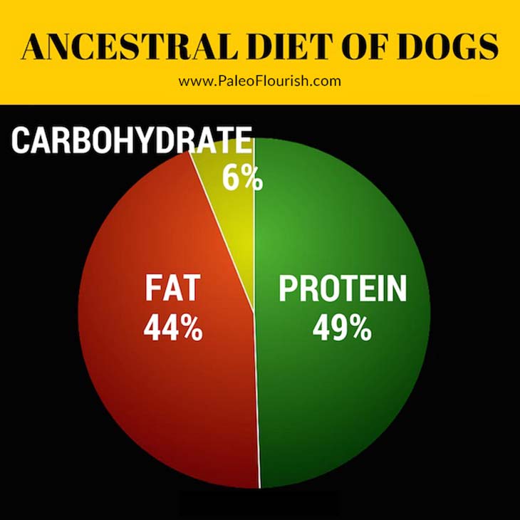 ancestral diet of dogs - percentages - pie chart - data