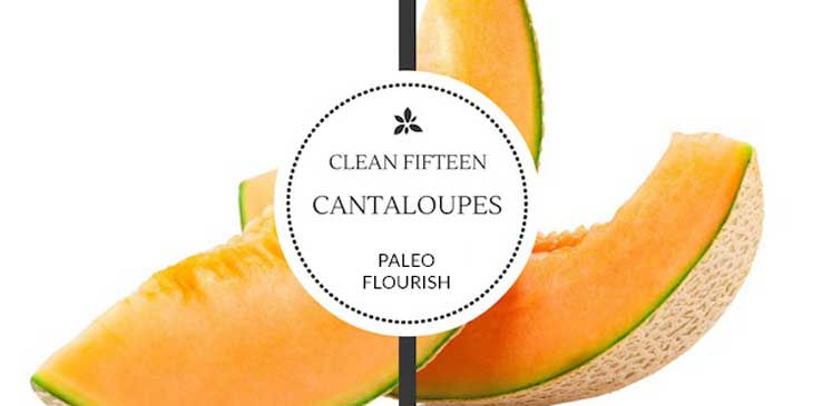 clean 15 organic foods cantaloupes