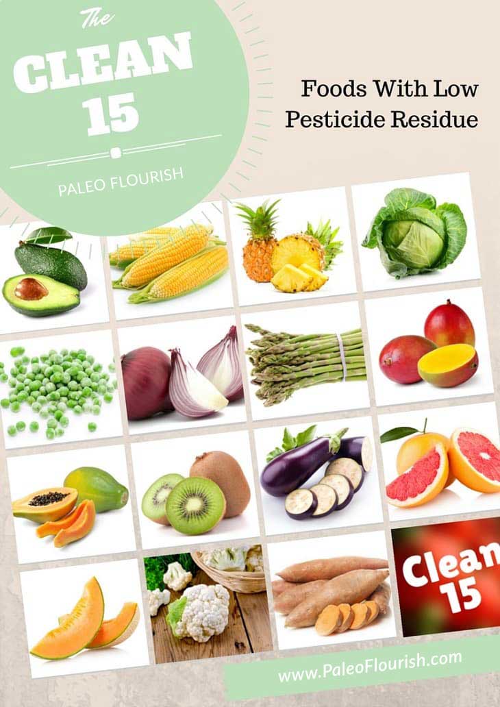 clean 15 organic foods infographic image