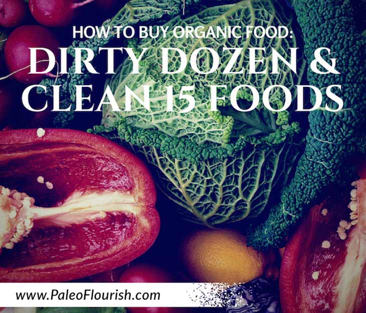 Dirty Dozen & Clean 15 Foods - How To Buy Organic Foods https://paleoflourish.com/dirty-dozen-clean-15-foods-how-to-buy-organic-foods