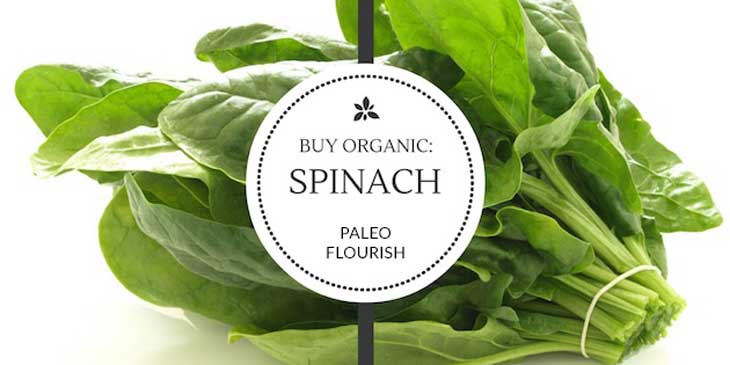 dirty dozen organic food spinach