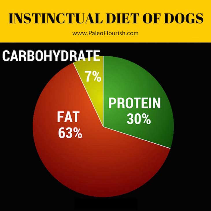 instinctual diet of dogs - percentages - pie chart - data
