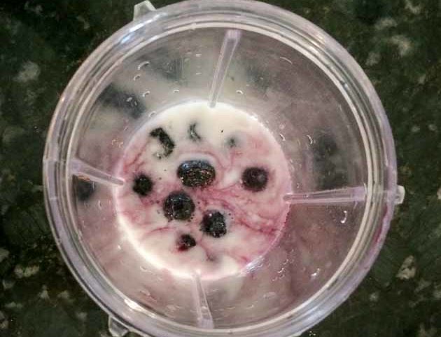 Blueberry Coconut Ice Pop Paleo Recipe Dairy-Free