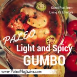 Paleo Gumbo Recipe - Guest Post from Living Fit Lifestyle