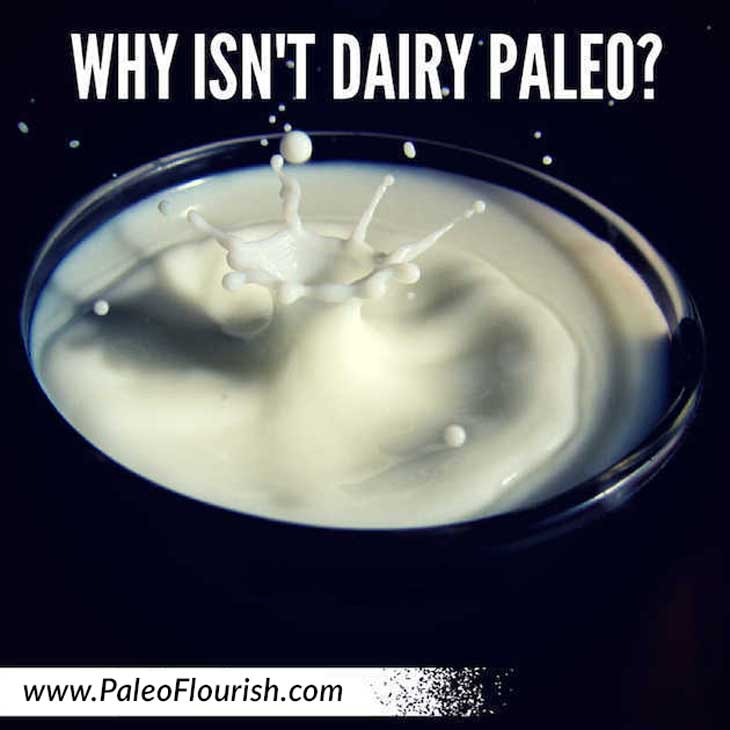 Why Isn't Dairy Paleo? https://paleoflourish.com/is-dairy-paleo